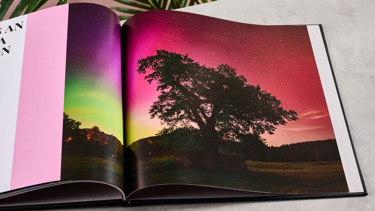 The interior of Blurb photo book showing a tree silhouetted against an aurora, with a vertical pink bar along one edge.