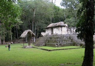 Scientists have found the remains of dogs in and around the Central Plaza of Ceibal, Guatemala.