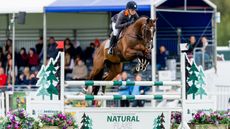 Blenheim Horse Trials: Bubby Upton and Jefferson 18 showjump clear