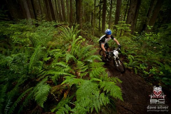 A rider amongst the ferns