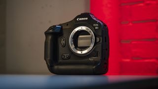 Canon EOS R1 mirrorless camera with red brick background