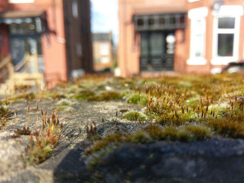 HTC 10 photo sample