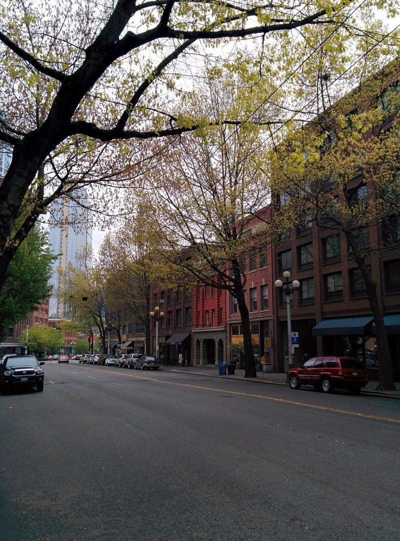 Nexus 5 Sample shot with Google Camera