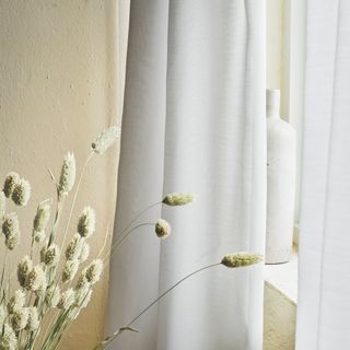 air purifying white curtains in room with white walls