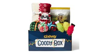 Goody Box Holiday Toys, Treats & Blanket for Cats Christmas gifts for cats