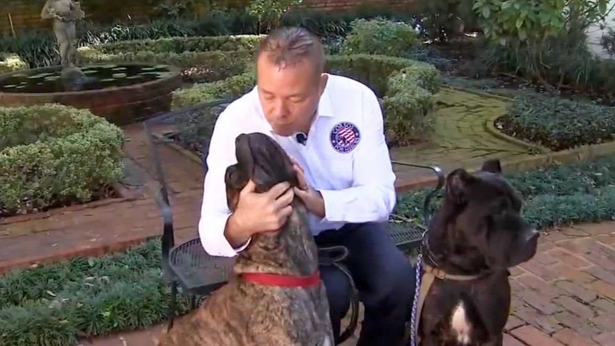 Harry Toro, the man behind Corsos for Heroes, sitting down with two Cane Corso dogs