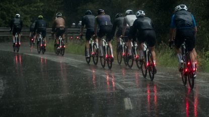 A group of cyclists cycling on a wet road in winter, each of them using winter road bike tyres and with bright red lights on the rear of their bikes