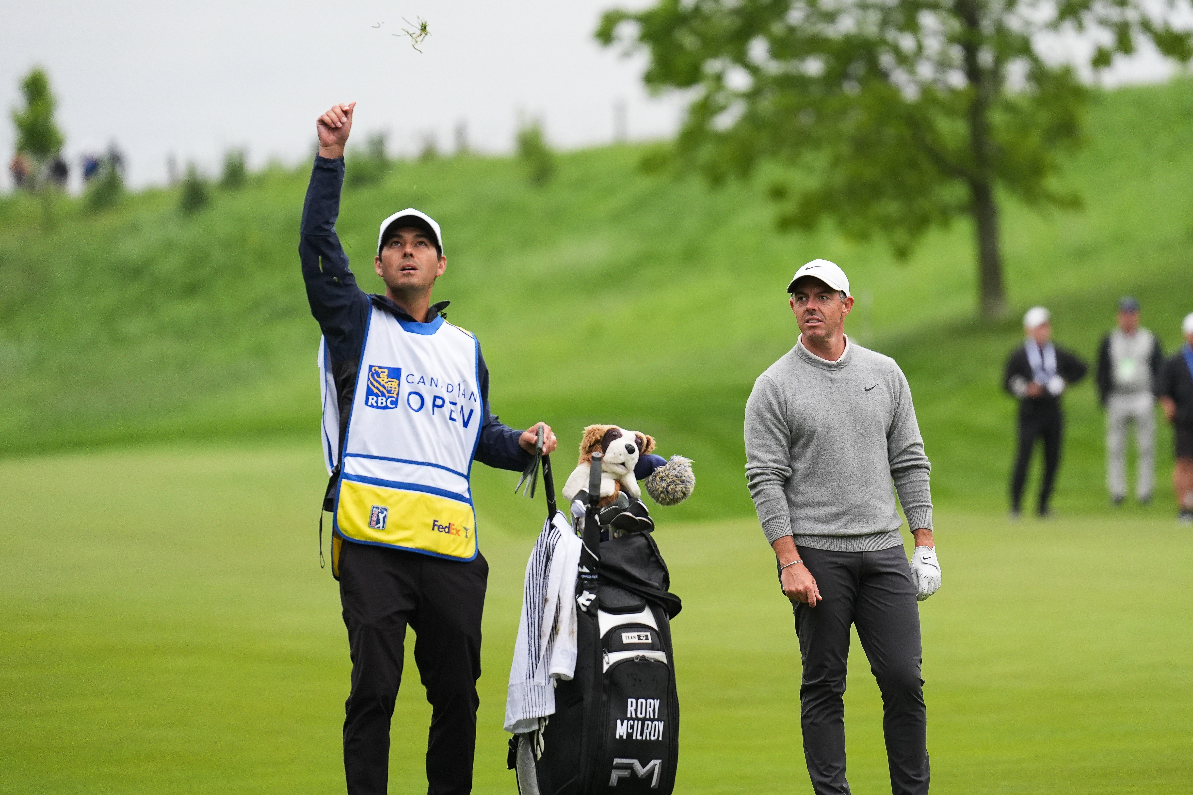 A caddie throws grass in the air to work out the wind