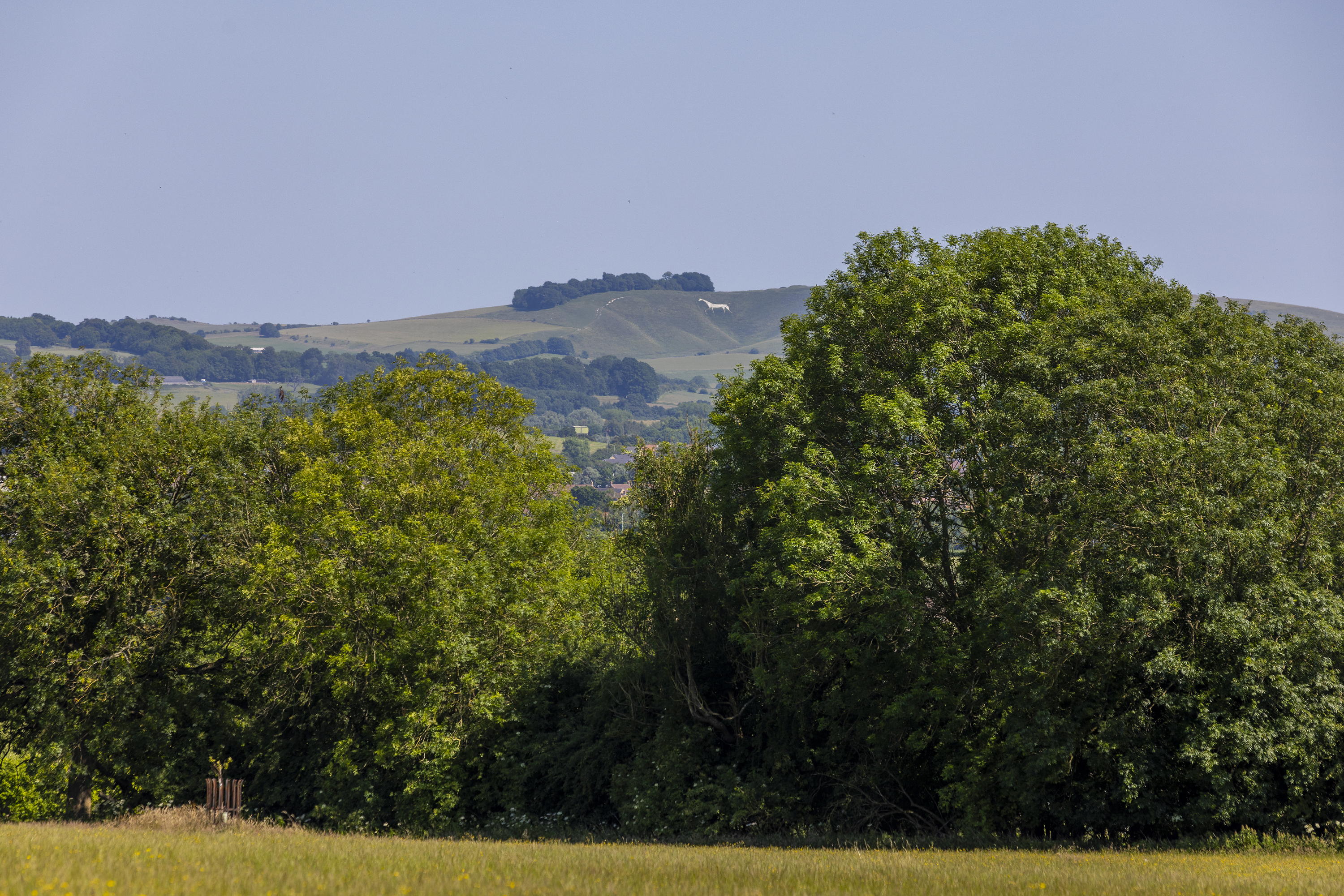 Garden outside Mount Farm