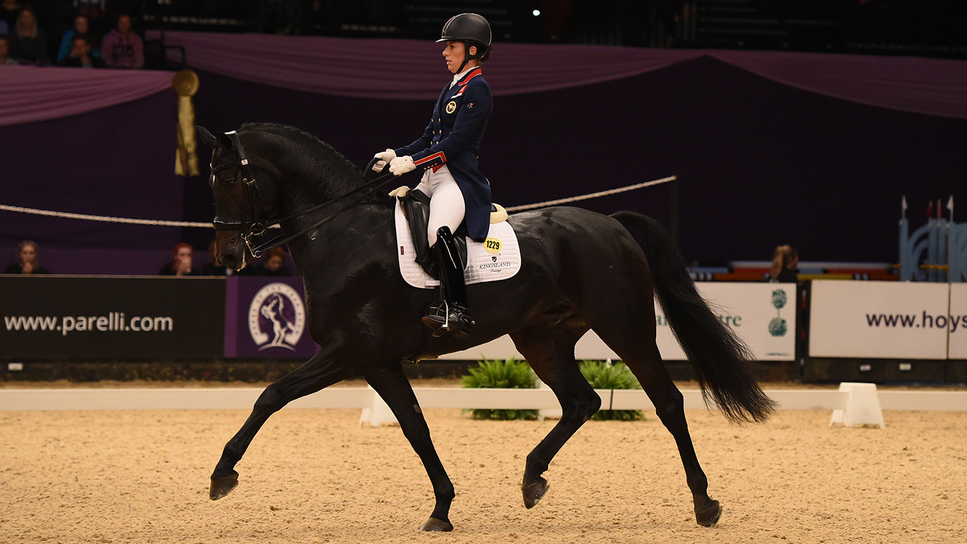 HOYS on 07 10 2016