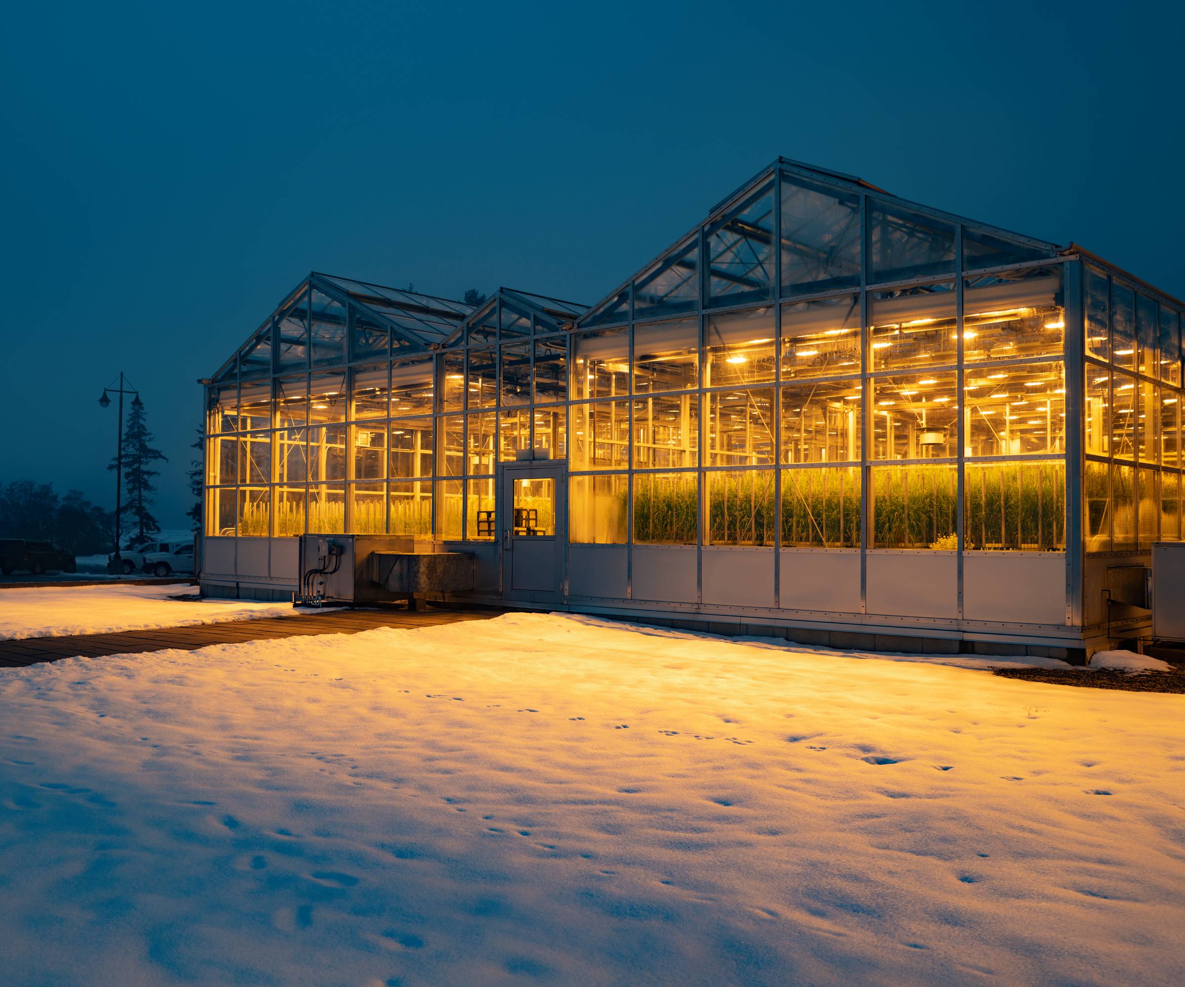 A lit up greenhouse at night in the snow