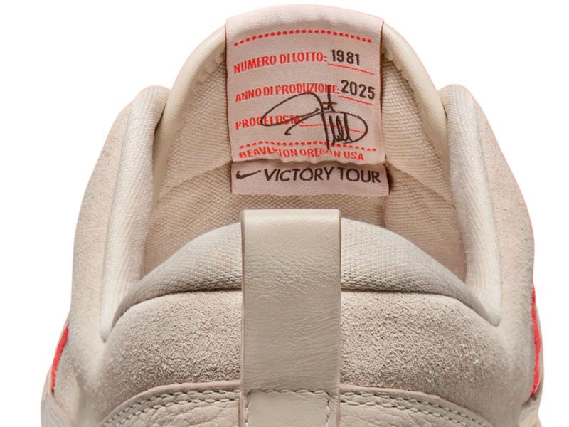 Nike JT shoes