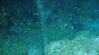 Here are methane gas bubbles rise from the seafloor. These bubbles were originally noticed by NOAA Ship Okeanos Explorer in 2012. On May 8, 2013, the NOAA ship Ron Brown returned to the area to further investigate. 