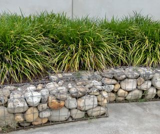 Stone gabion walls