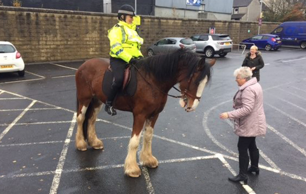 namepolicehorse