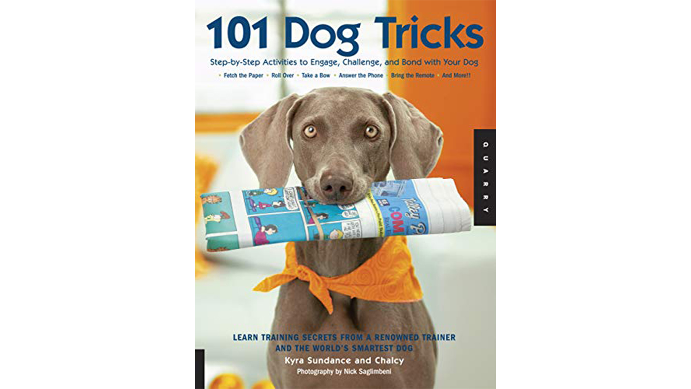 101 Dog Tricks by Kyra Sundance and Chalcy