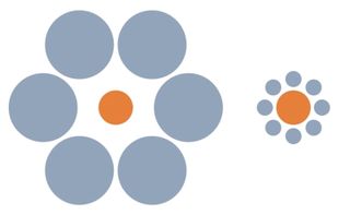 The two orange circles in the center of the gray circles are the same size, but they look different because of the different sizes of the circles surrounding them.