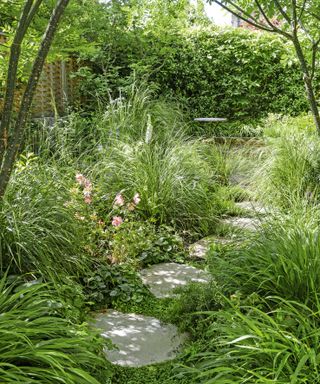 narrow garden with meadow style planting and stone path