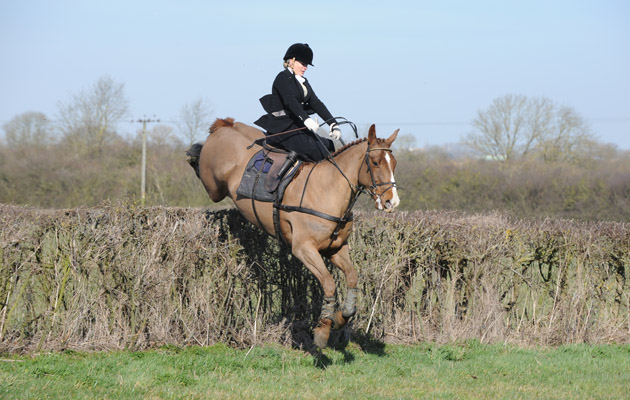 Belvoir Hunt 07.03.15
