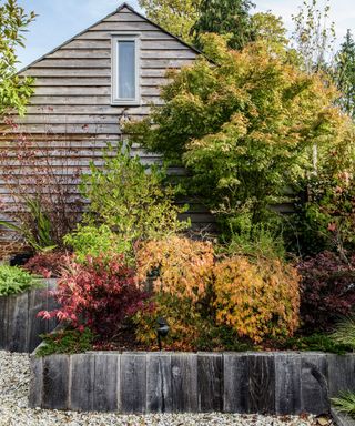Raised flower bed with shrubs above a gravel path with a wooden shed in the background
