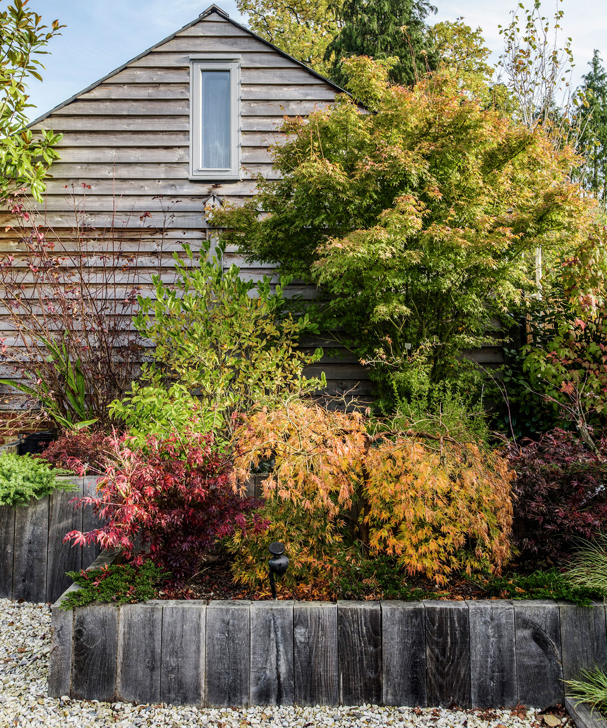 An example of how to plant a flower bed showing raised flower bed with shrubs above a gravel path with a wooden shed in the background