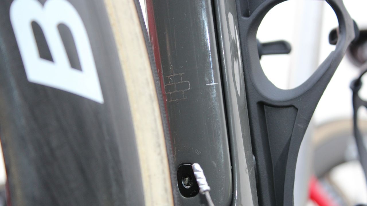 A little cobble detail on the back of the Domane down tube