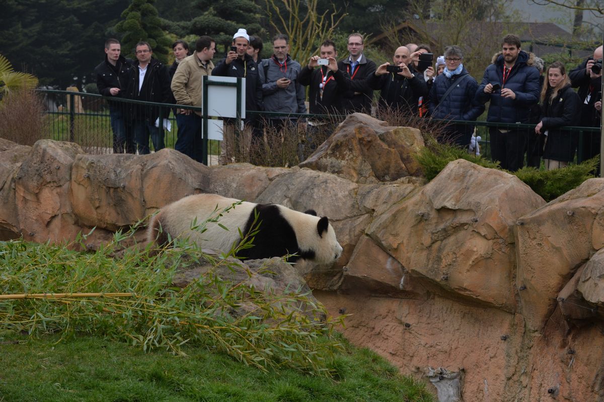 The Paris-Nice entourage visit the pandas