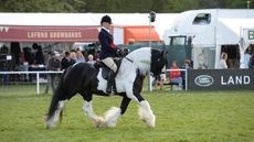 Vikki Smith is judging the ridden coloured classes at Royal Windsor 2023