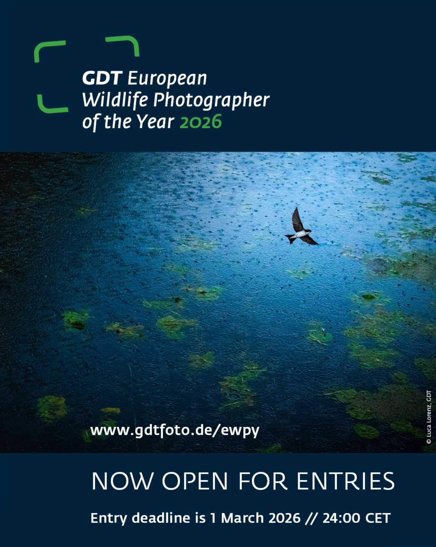 Announcement for the GDT European Wildlife Photographer of the Year 2026 contest, with entry details and deadline