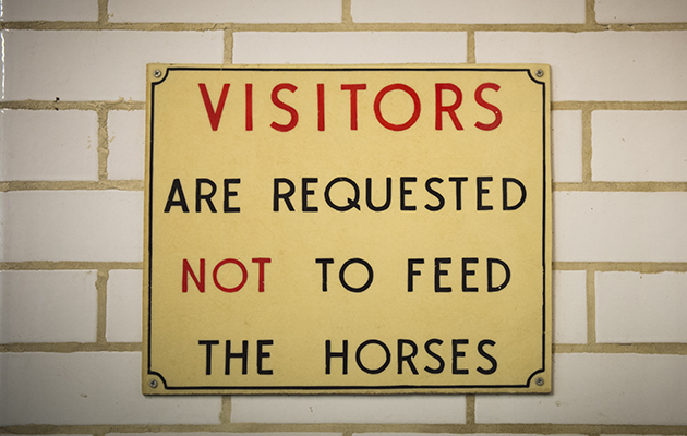 The horses are fed again at 12pm and then have their evening feed at 4pm, before lights off at 5.30pm