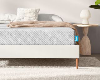 Best mattress on bedframe in modern bedroom