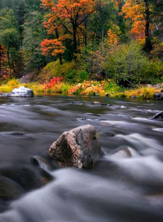 fall-foliage-plumas-rock-river