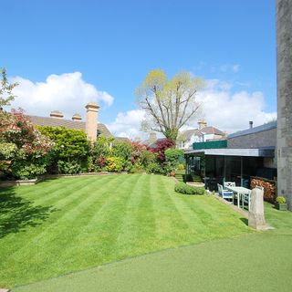 outdoor area with green lawn with trees and plants