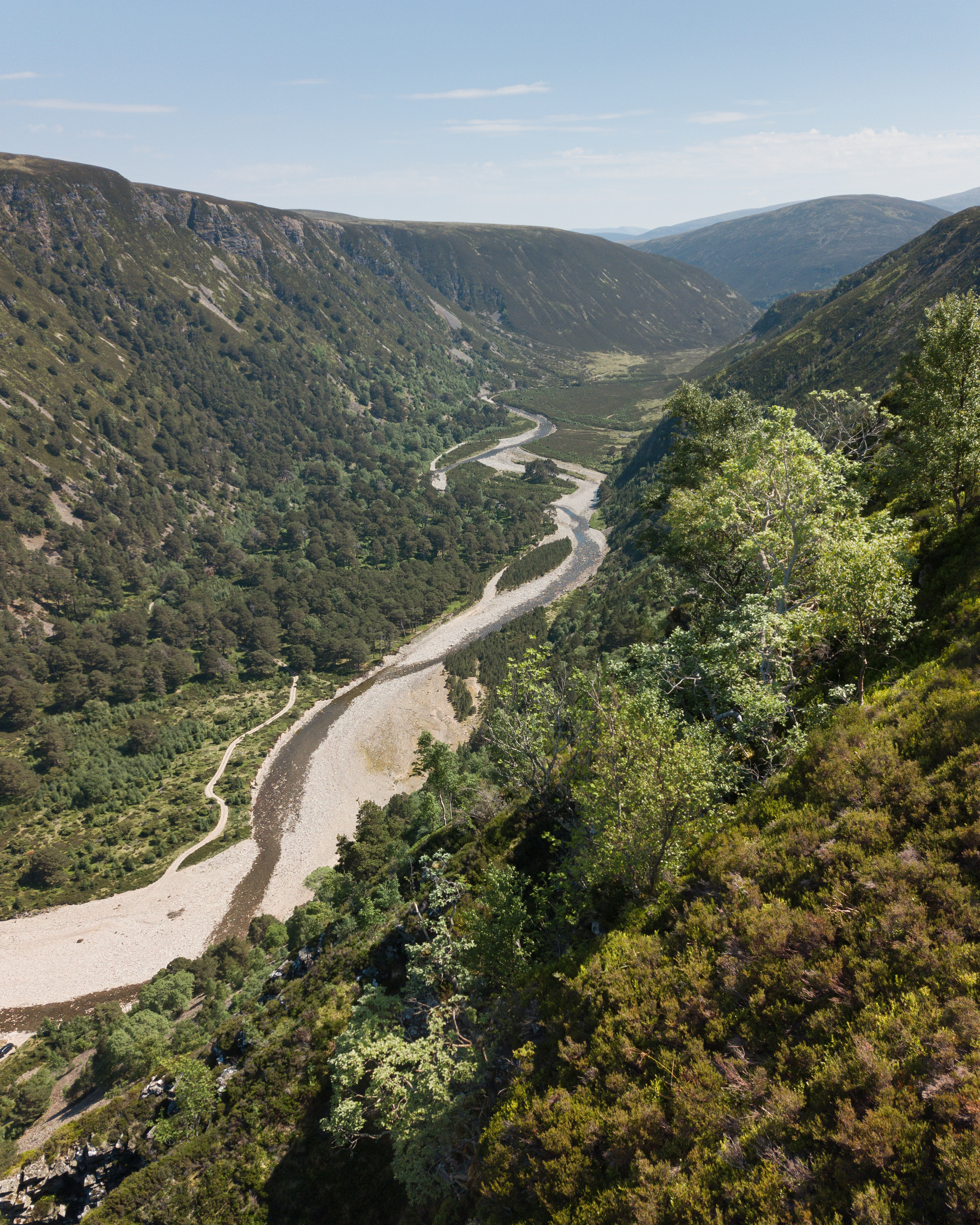 WildLands
