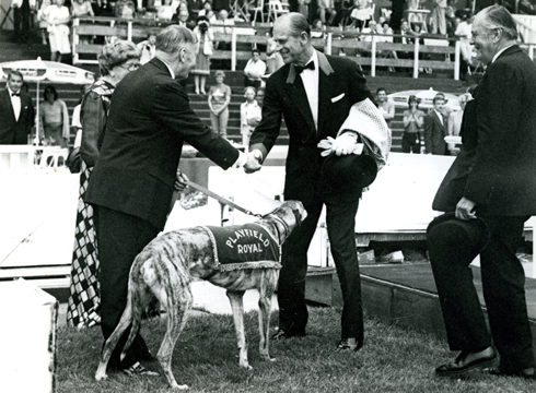 Prince Philip meets a greyhound at the Royal International Horse Show at White City in 1983