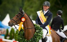LUHMUHLEN_2016_CCI4_SJ_GER_DIBOWSKI-7903.jpg