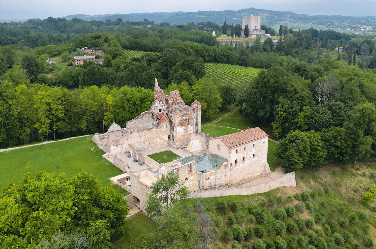 The production area in Consorzio Asolo Montello is home to forests, orchards and olive groves as well as vineyards, preserving its biodiversity.