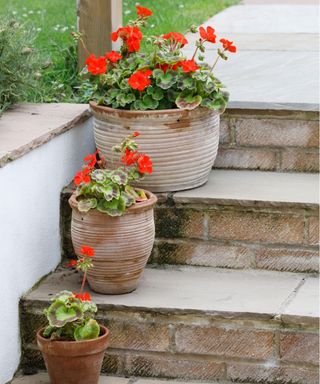 Garden steps with planters