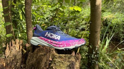 Hoka Speedgoat 6 Review