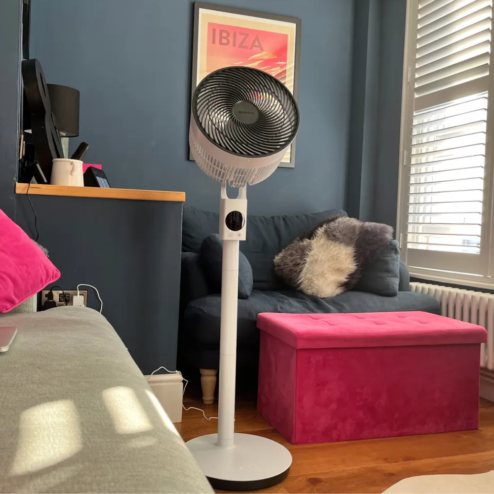 MeacoFan Sefte 10" Pedestal Air Circulator in living room