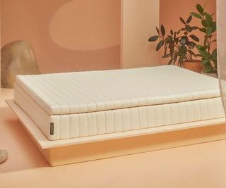 The Earthfoam Mattress Topper on a bed against peach-colored walls, surrounded by plants and decorative rocks.