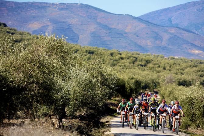 The lead peloton