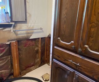 Wood paneled guest bathroom before