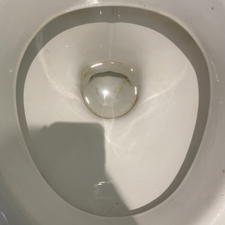 My toilet bowl after cleaning with Coca-Cola.