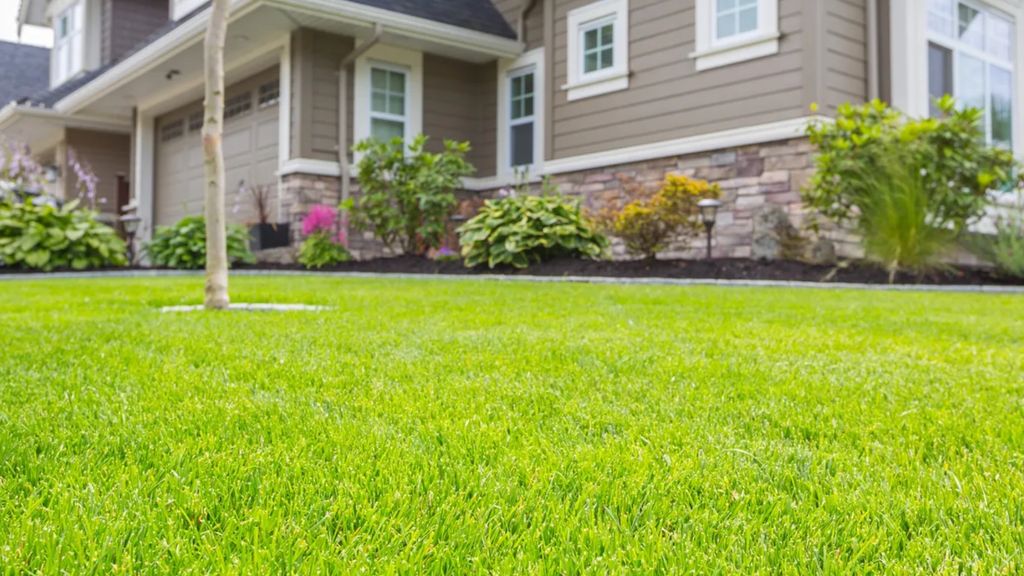 How to make your grass greener than ever — 9 lawn tips | Tom's Guide