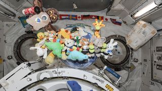 a collection of a stuffed toys and plushies float together inside a space station