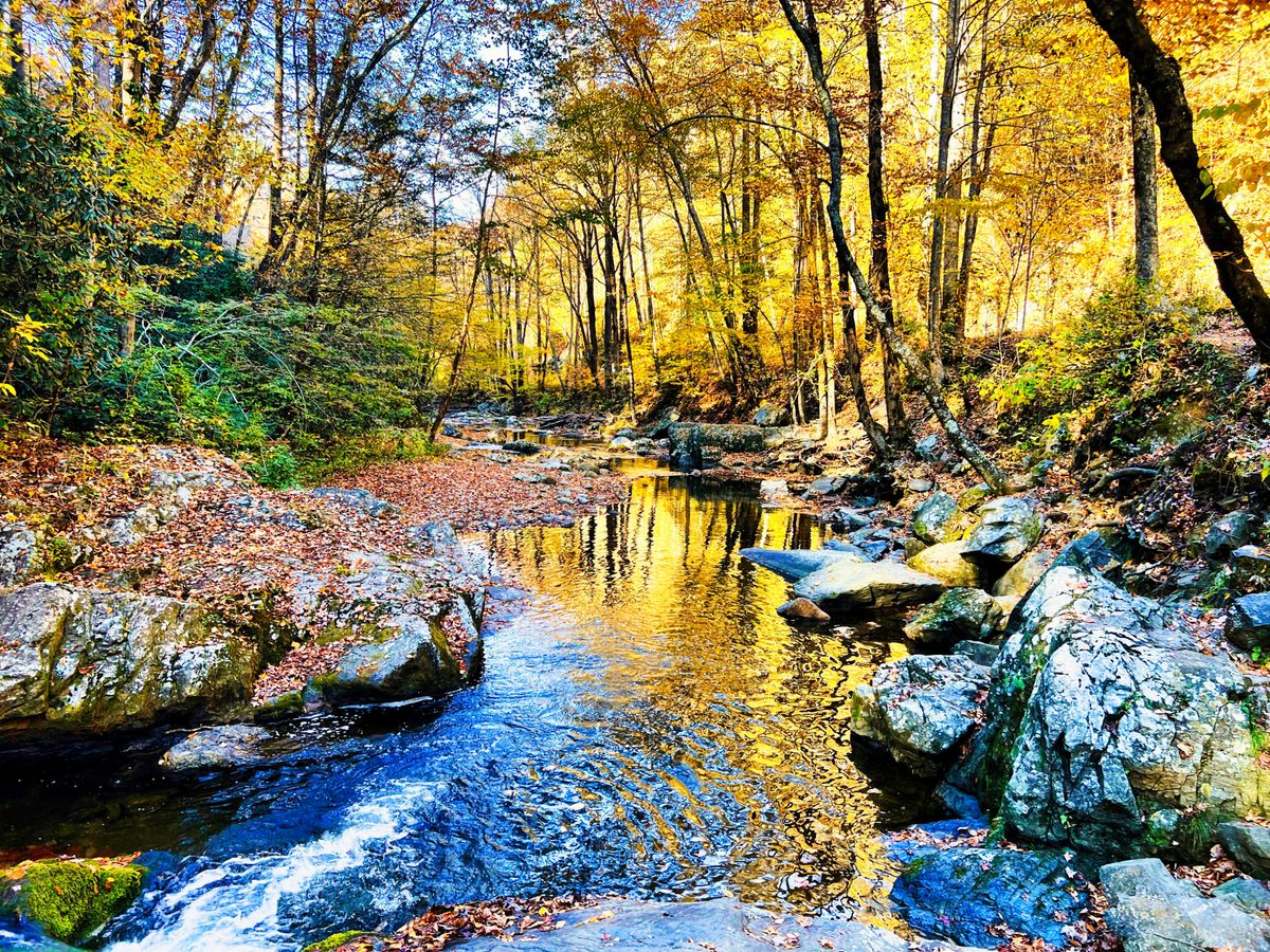 GuruShots - Nature&rsquo;s Masterpiece 2026