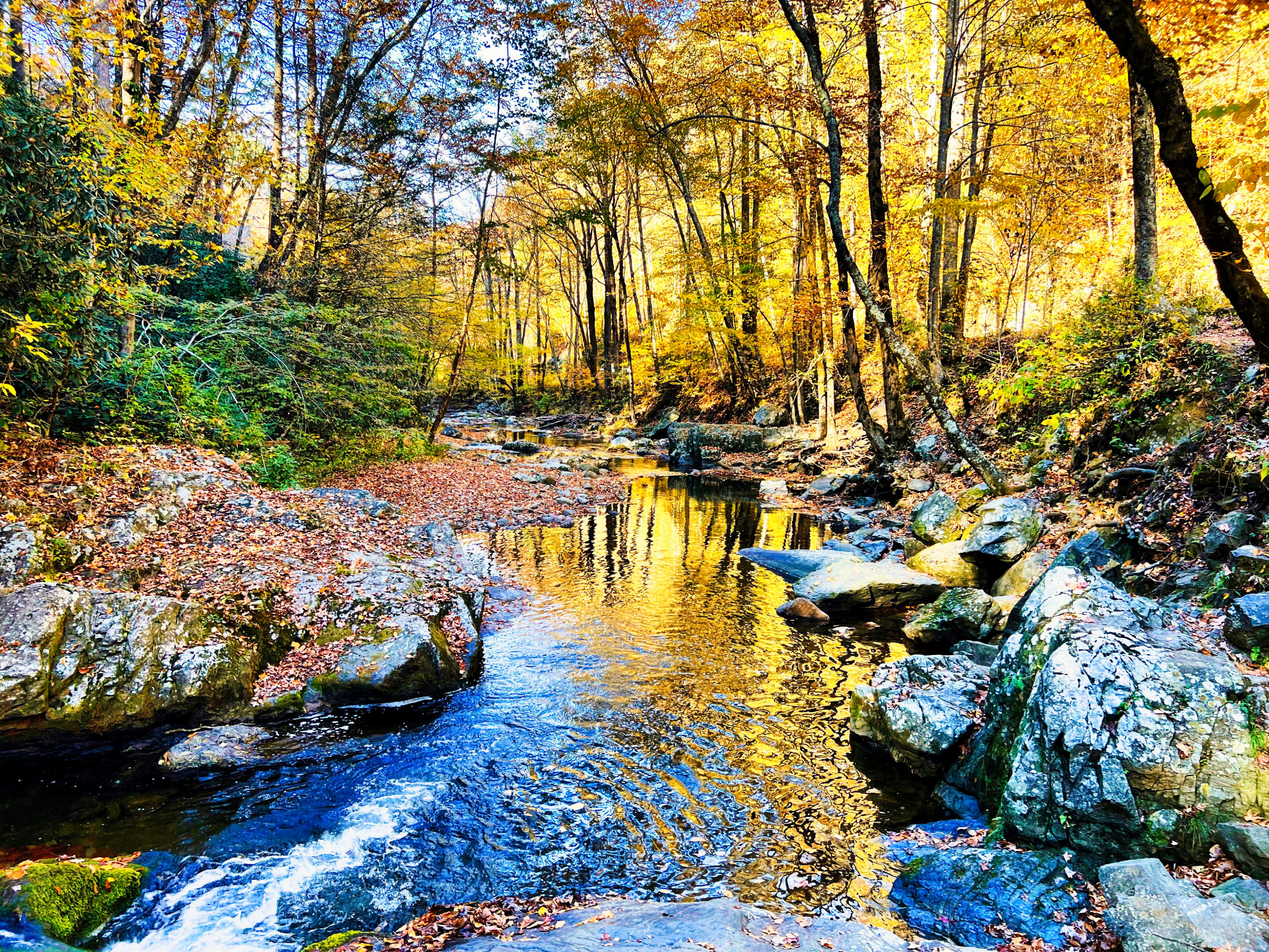 GuruShots - Nature&rsquo;s Masterpiece 2026