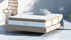 best mattress for stomach sleepers: Saatva Loom & Leaf