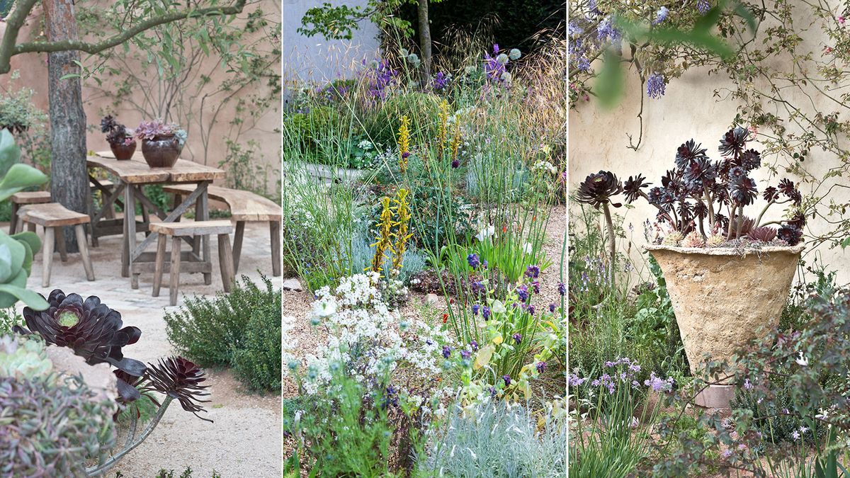 drought-tolerant-landscaping-ideas-8-solutions-for-a-more-sustainable